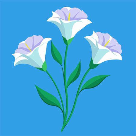 Eustoma flowers on blue background. Vector illustration in flat style.のイラスト素材
