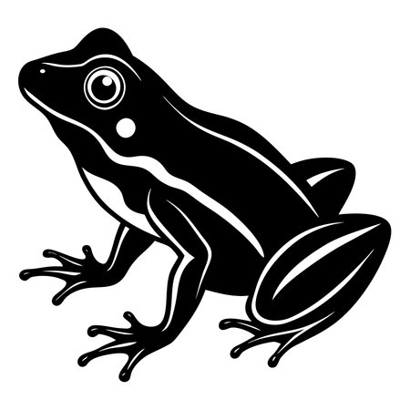 Black and white frog isolated on white background. Vector illustration for your design.のイラスト素材
