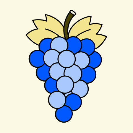 Grapes icon. Vector illustration of a bunch of grapes.のイラスト素材