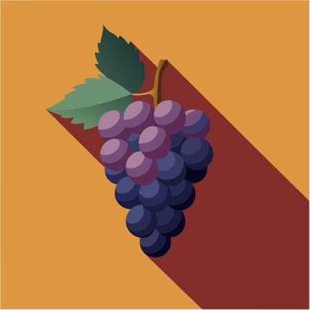 Grapes flat icon with long shadow on an orange background.のイラスト素材