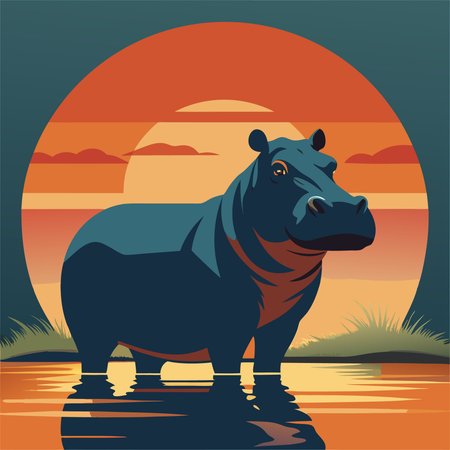 Hippo at sunset. Vector illustration of a wild animal.