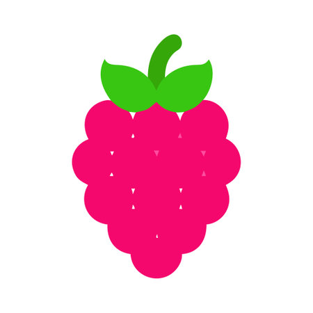 Raspberry icon vector isolated on white backgroundのイラスト素材
