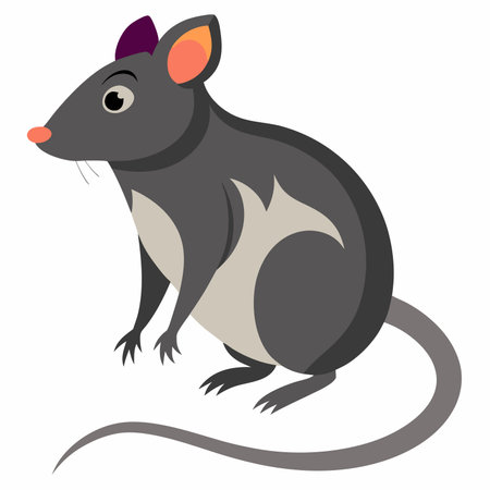 Vector image of a gray rat on a white background. Flat style.のイラスト素材