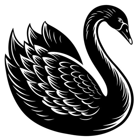 Swan, swan, vector, black and white, isolatedのイラスト素材
