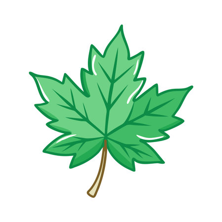Maple leaf icon. Cartoon illustration of maple leaf vector icon for webのイラスト素材