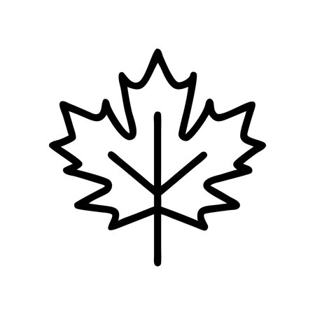 Maple leaf icon vector. A thin line sign. Isolated contour symbol illustration