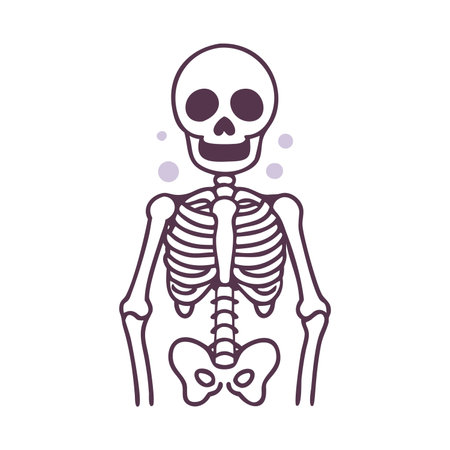 Human skeleton. Vector illustration in flat style. Isolated on white background.のイラスト素材