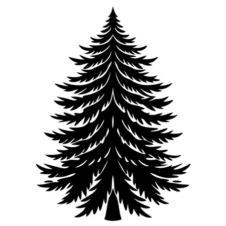 Silhouette of a coniferous tree on a white backgroundのイラスト素材