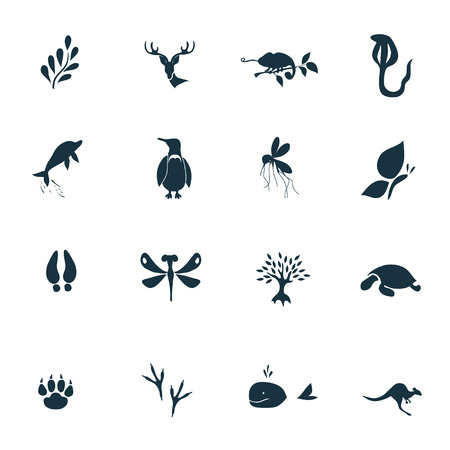 Set of  sixteen nature iconsのイラスト素材
