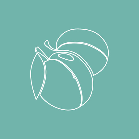 Plum iconのイラスト素材