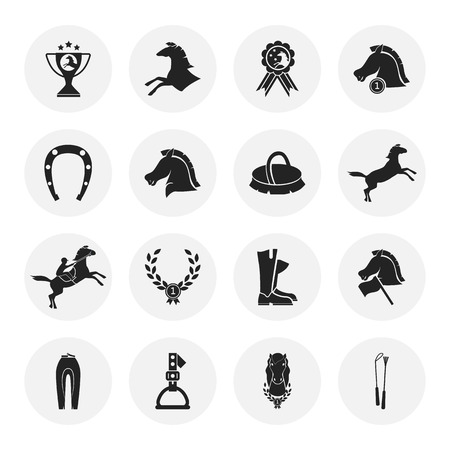 Set of sixteen horse sport iconsのイラスト素材