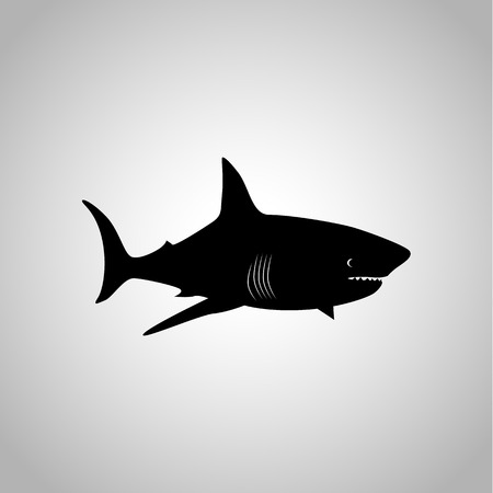 Shark iconのイラスト素材