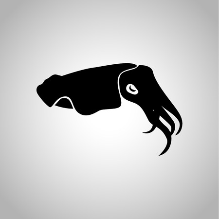 Cuttlefish iconのイラスト素材