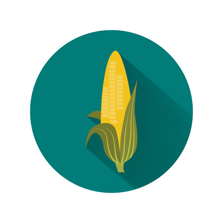 Corn color iconのイラスト素材