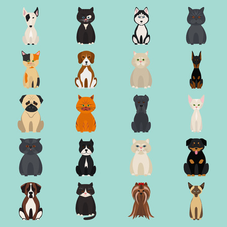 Cats and dogs color flat iconのイラスト素材