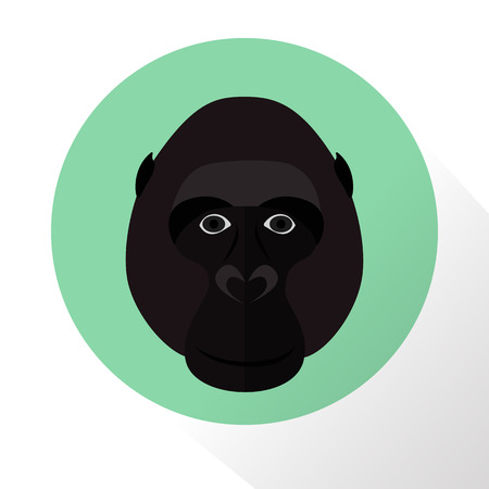 Gorilla color flat iconのイラスト素材