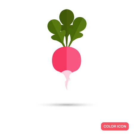 Radish color flat iconのイラスト素材