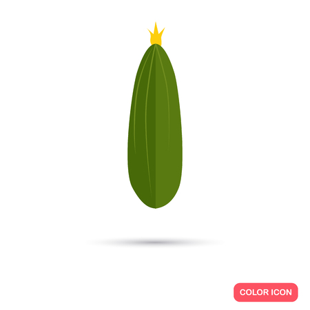 Cucumber color flat iconのイラスト素材