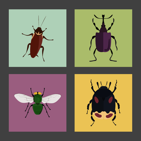 Set of four color flat insects iconsのイラスト素材