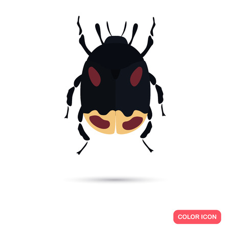 Color flat beetle iconのイラスト素材