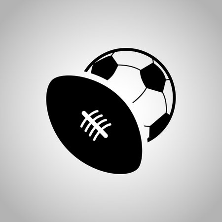 Football balls icon on the backgroundのイラスト素材