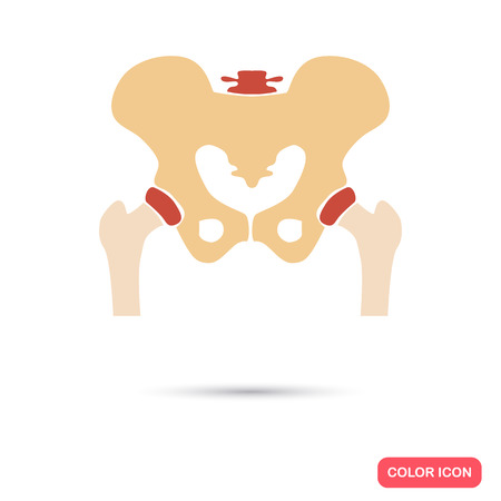 Human pelvic bones color flat iconのイラスト素材