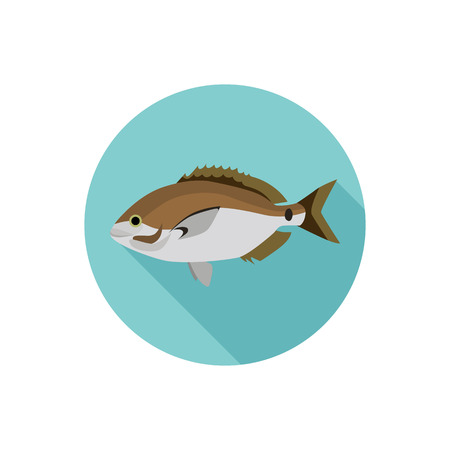 Sea grouper color flat iconのイラスト素材