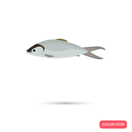 Seabass color flat iconのイラスト素材