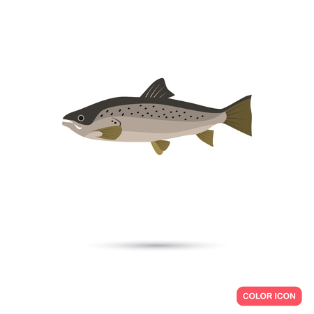 Salmon color flat iconのイラスト素材