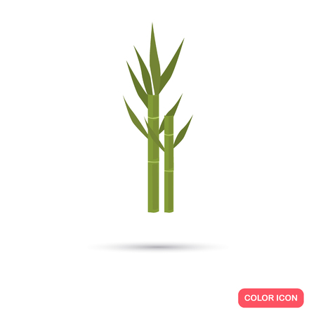 Sugar cane agriculture crop. Color flat iconのイラスト素材