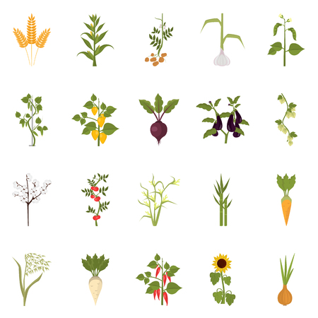 Agriculture crops color flat icons setのイラスト素材