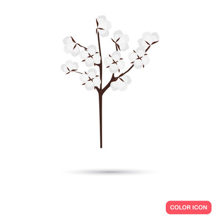 Cotton agriculture crop. Color flat iconのイラスト素材