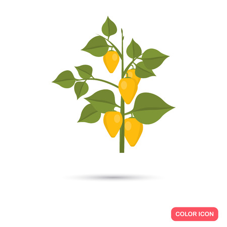 Yellow pepper agriculture crop. Color flat iconのイラスト素材