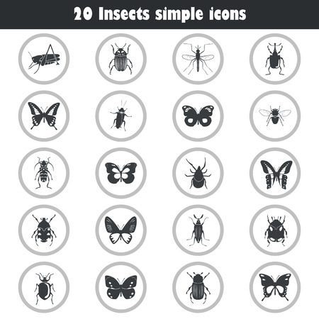Different insects icons set for web and mobile designのイラスト素材