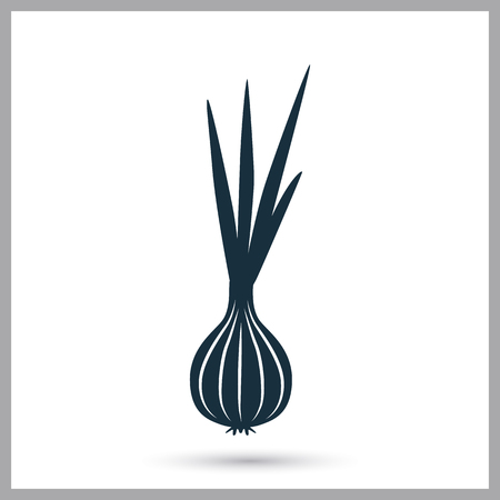 Onion agriculture crop icon. Simple design for web and mobileのイラスト素材
