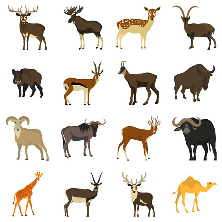 Set of color flat hoofed animals iconsのイラスト素材
