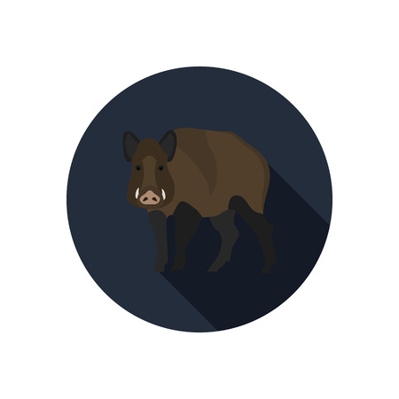 Wild boar color flat icon for web and mobile designのイラスト素材