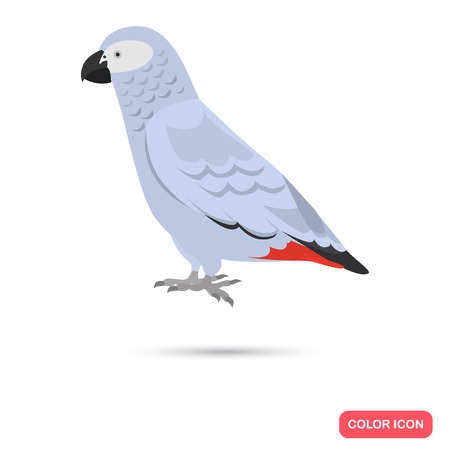 Gray parrot color flat icon for web and mobile designのイラスト素材