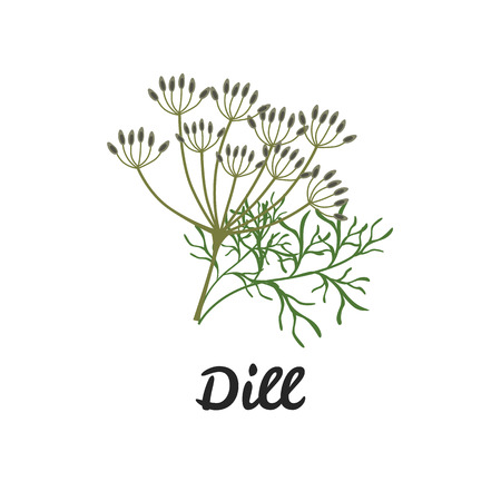 Dill color flat icon for web and mobile designのイラスト素材
