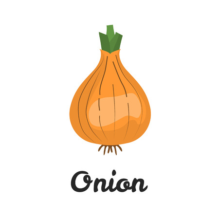 Onion color flat icon for web and mobile designのイラスト素材