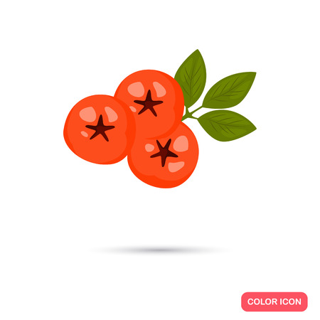 Rowanberry color icon. Cartoon style for web and mobile designのイラスト素材