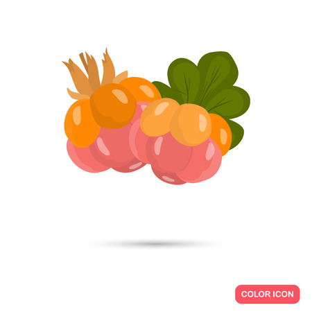 Cloudberries color icon. Cartoon style for web and mobile designのイラスト素材
