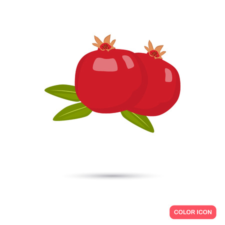 Pomegranate color icon. Cartoon style for web and mobile designのイラスト素材