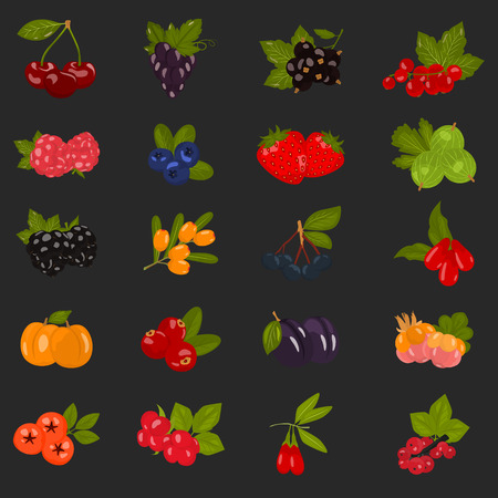 Set of color berries icons in cartoon style for web and mobile designのイラスト素材