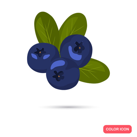 Blueberries color icon. Cartoon style for web and mobile designのイラスト素材
