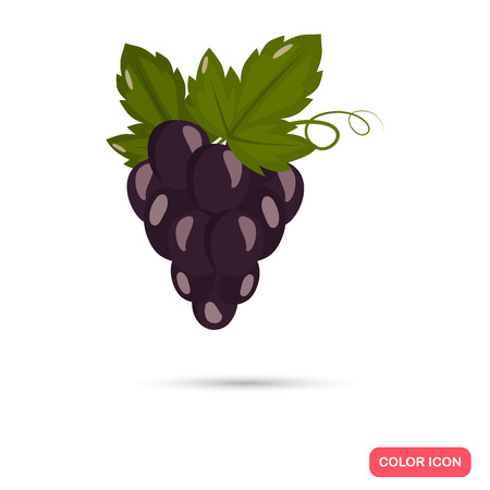 Grapes bunch color icon. Cartoon style for web and mobile designのイラスト素材