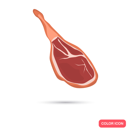 Realistic dried ham color flat icon. For web and mobile designのイラスト素材