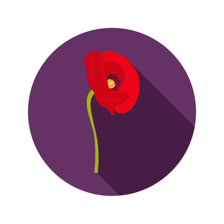 Poppy color flat icon for web and mobile designのイラスト素材