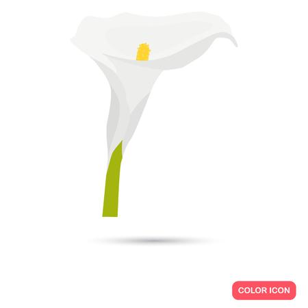 Calla color flat icon for web and mobile designのイラスト素材