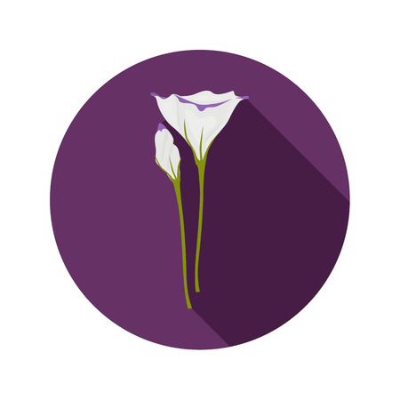Eustoma flower color flat icon for web and mobile designのイラスト素材
